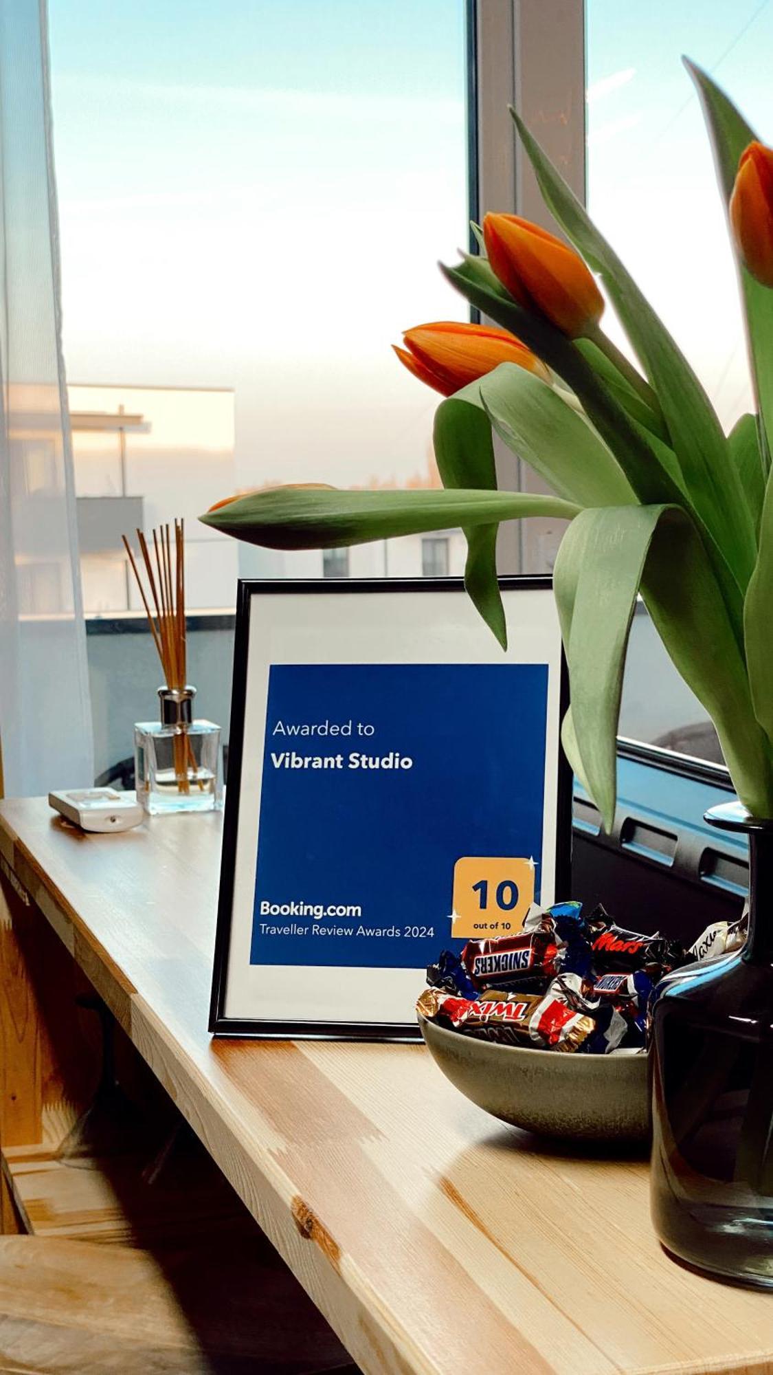 Vibrant Studio 티미쇼아라 외부 사진